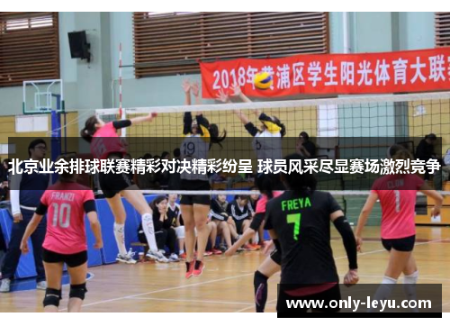 北京业余排球联赛精彩对决精彩纷呈 球员风采尽显赛场激烈竞争