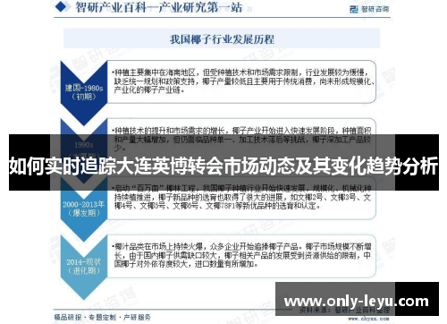 如何实时追踪大连英博转会市场动态及其变化趋势分析