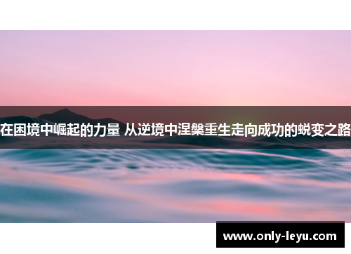 在困境中崛起的力量 从逆境中涅槃重生走向成功的蜕变之路