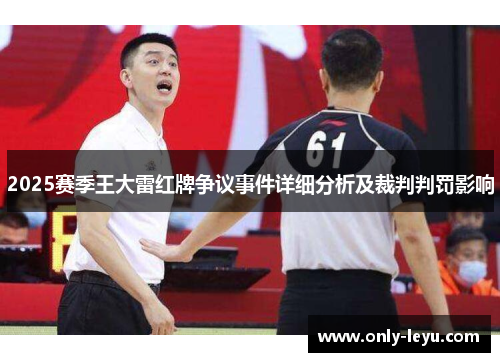 2025赛季王大雷红牌争议事件详细分析及裁判判罚影响