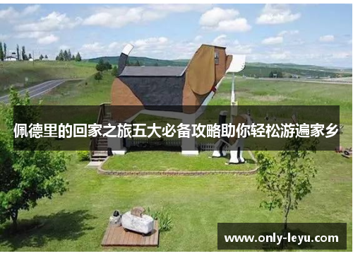 佩德里的回家之旅五大必备攻略助你轻松游遍家乡