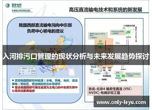 入河排污口管理的现状分析与未来发展趋势探讨