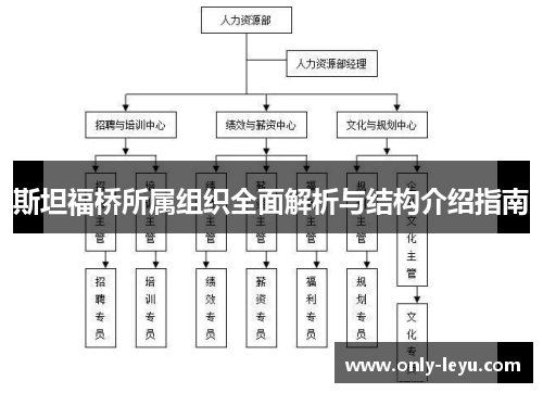 斯坦福桥所属组织全面解析与结构介绍指南