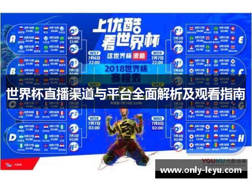 世界杯直播渠道与平台全面解析及观看指南