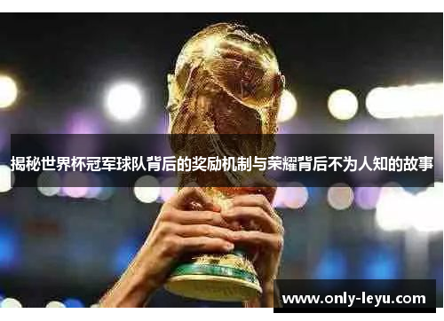 揭秘世界杯冠军球队背后的奖励机制与荣耀背后不为人知的故事