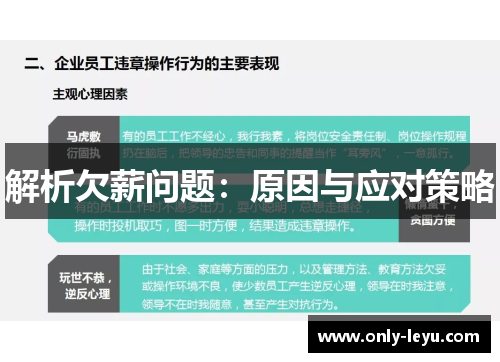 解析欠薪问题：原因与应对策略