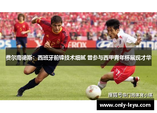 费尔南德斯：西班牙前锋技术细腻 曾参与西甲青年杯展现才华