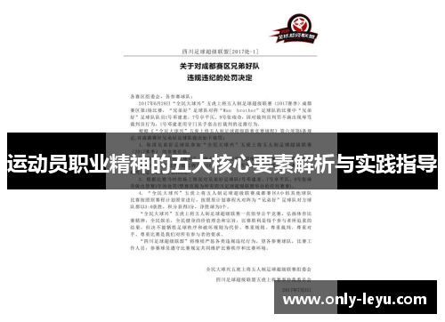 运动员职业精神的五大核心要素解析与实践指导